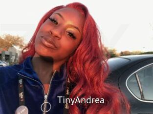 TinyAndrea