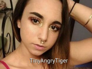 TinyAngryTiger