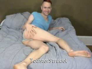 ToasterStrudel