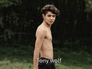 Tony_wolf