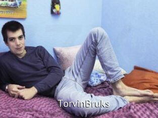 TorvinBruks