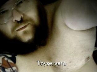 Toyservent