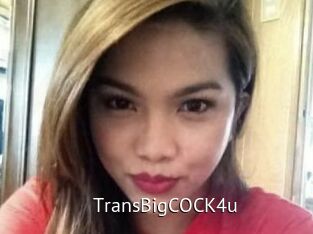TransBigCOCK4u