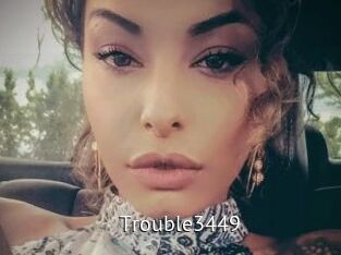 Trouble3449