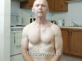 Tumbleweed13 Zizi X