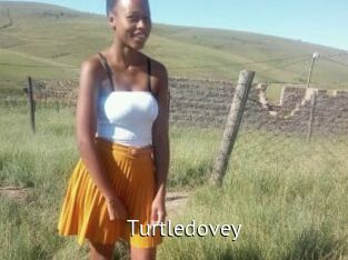 Turtledovey