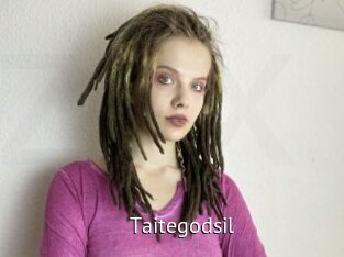 Taitegodsil