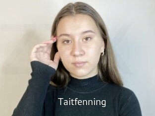 Taitfenning