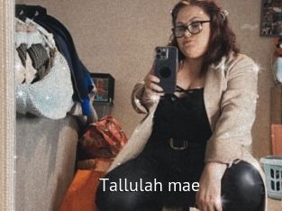 Tallulah_mae