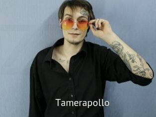 Tamerapollo