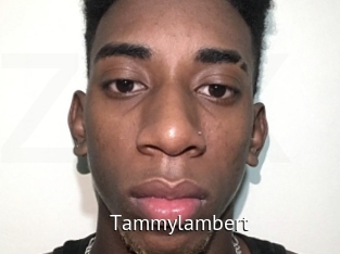 Tammylambert