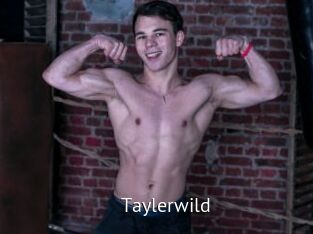 Taylerwild