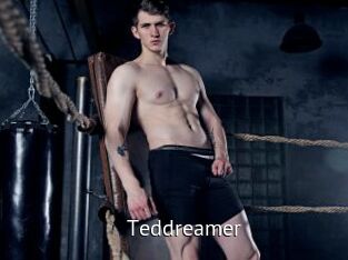 Teddreamer