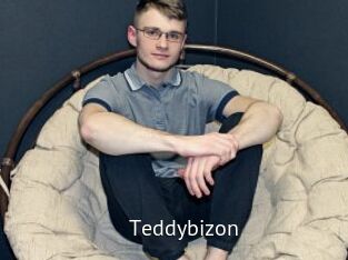 Teddybizon