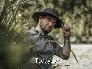 Teddysteel