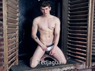 Tedjaguar