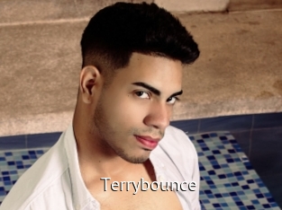 Terrybounce