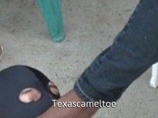 Texascameltoe