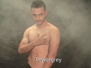 Teylorgrey