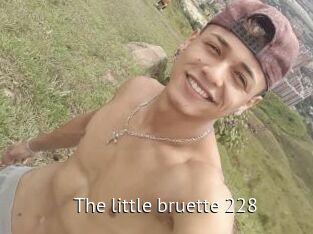 The_little_bruette_228