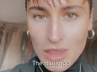 The_stallion55