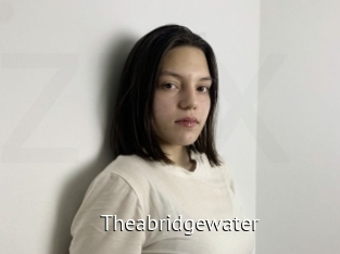 Theabridgewater