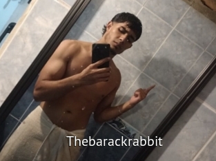 Thebarackrabbit