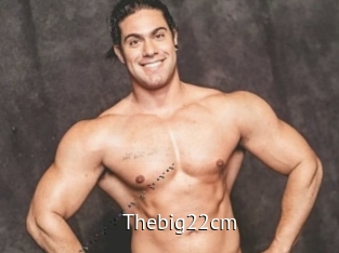 Thebig22cm