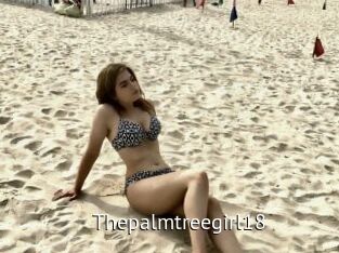 Thepalmtreegirl18