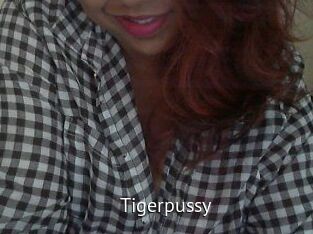 Tigerpussy