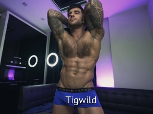 tigwild Zizi X