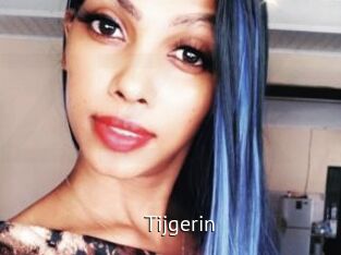 Tijgerin