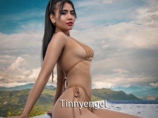 Tinnyengel