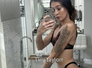 Tiny_taylorr
