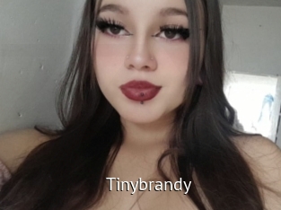 Tinybrandy