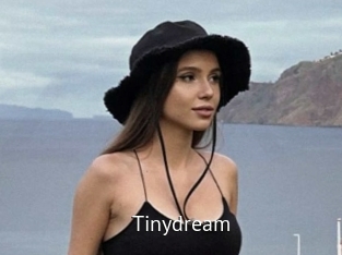 Tinydream