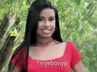 Tinyebonyy