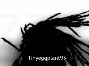 Tinyeggplant93