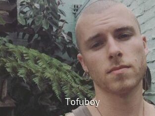 Tofu_boy