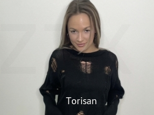 Torisan