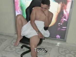 Torito
