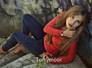 Torrymoor