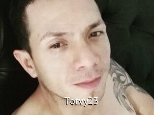 Torvy23