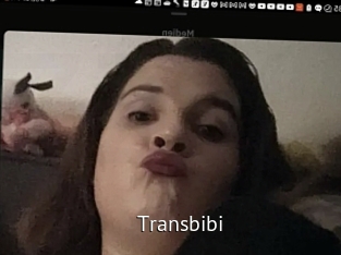 Transbibi