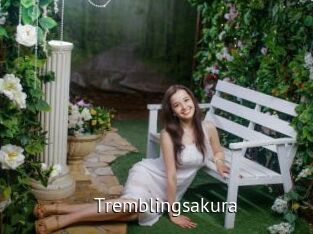 Tremblingsakura