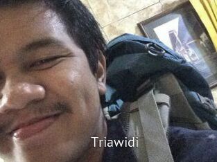 Triawidi