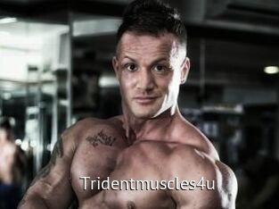 Tridentmuscles4u
