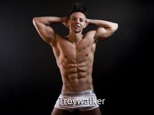 Troywalker