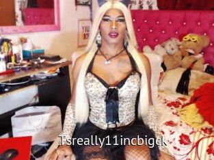 Tsreally11incbigck