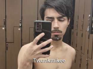 Twunkmikee